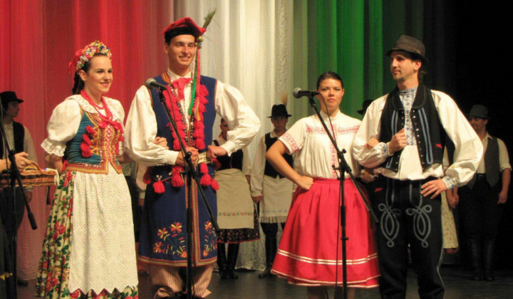 XVI. Medzinárodný Novohradský folklórny festival 2011