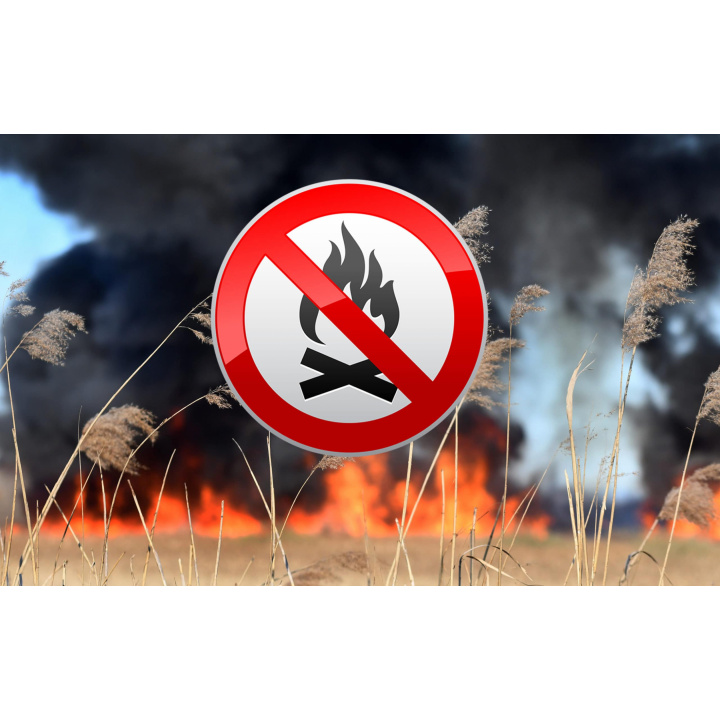 Menšia fotka pre článok Vypaľovanie trávy - zákaz